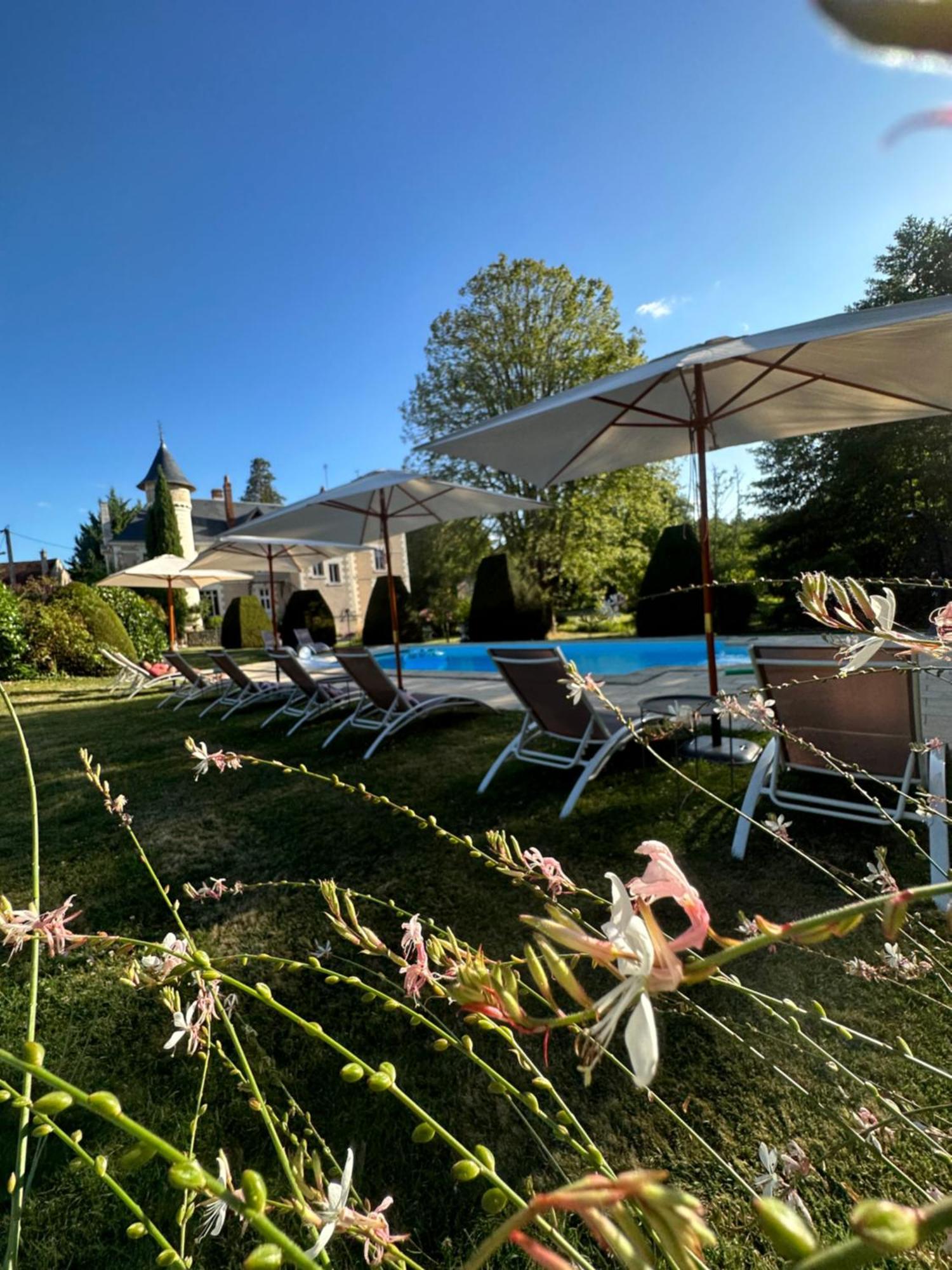 Le Moulin De Francueil Bed and Breakfast Exteriör bild